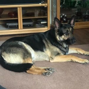 Meet your Posher, Kathi